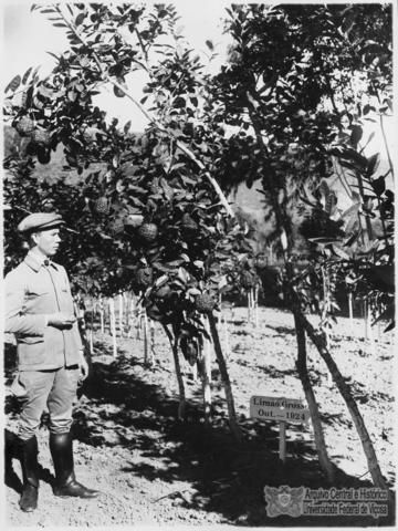 Open original Objeto digital