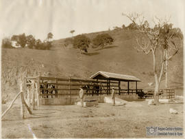 Banheiro carrapaticida da ESAV