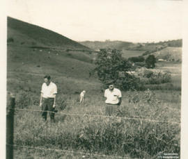 Imagem 16