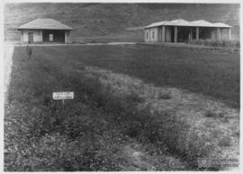 Campo de experimentação e Abrigos da Entomologia