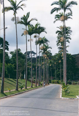 Caminho da Harmonia