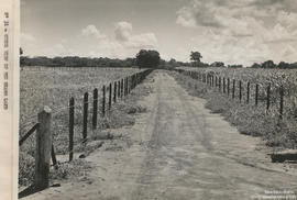 Campo experimental
