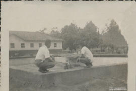 Piscina 11