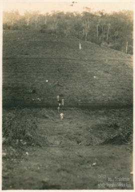 Campo de experimentação 34