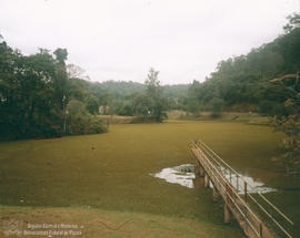 Terra e Água