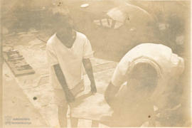 Campo de experimentação 24