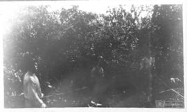 Vista parcial do Campus da ESAV