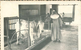Imagem 05