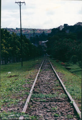 Linhas Paralelas