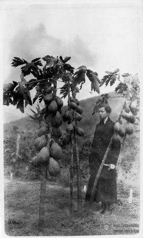 Open original Objeto digital