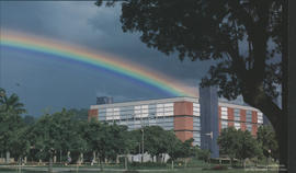 Imagem 03