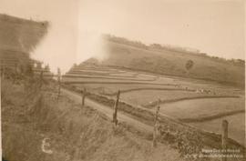 Campo de experimentação 19