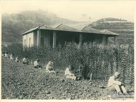 Escola Superior de Agricultura e Veterinária (ESAV)