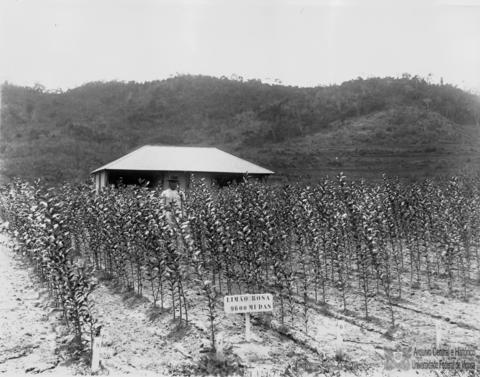 Open original Objeto digital