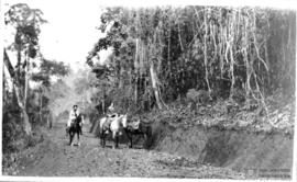 Clarissa Rolfs cavalgando