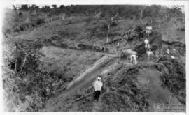 Estrada para São Miguel do Anta