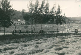 Imagem 04