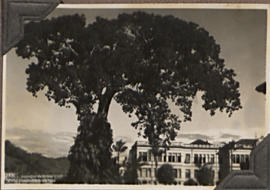 JMB 093