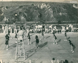Volei feminino
