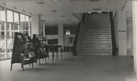 Biblioteca Central