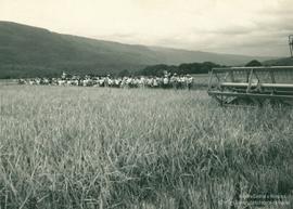 Dia de Campo na Fazenda