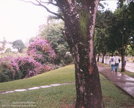 Natureza do Campus