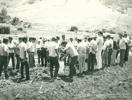 Dia especial da Cana-de-açúcar