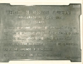 Imagem 02