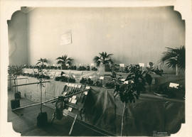 Exposição de produtos agrícolas