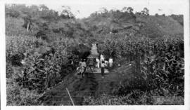 Instalação do trilho de acesso à Pedreira