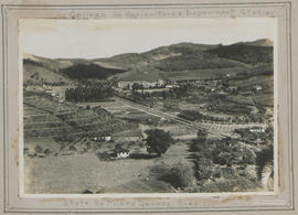 Imagem 03