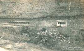Campo de experimentação 21