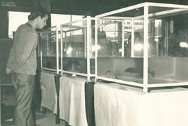 Exposição de peixes