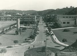 C291 (3)