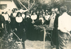 Imagem 02