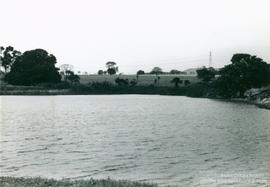C49 (2)