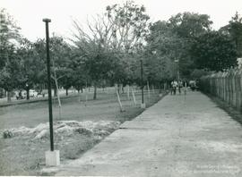 A161 (3)
