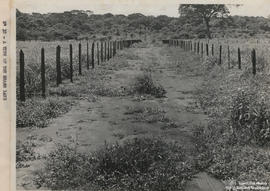 Campo Experimental