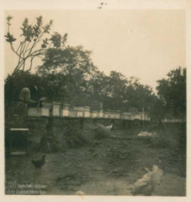 Campo de experimentação 27
