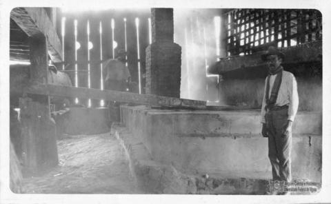 Open original Digital object