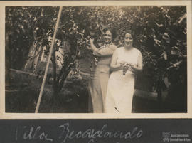 Exílio  43