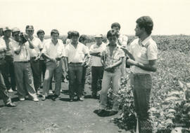 Aluízio Borém de Oliveira