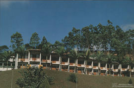 Imagem 03