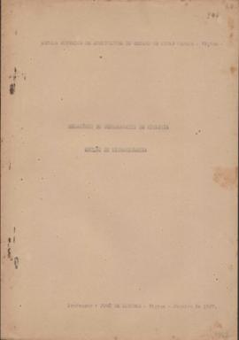 Professor José de Alencar