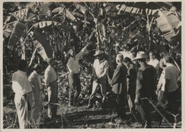 Aula de campo durante a SF
