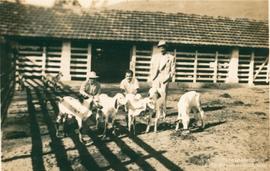 Campo de experimentação 16