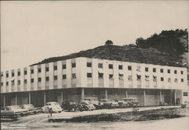 Instituto de Economia Rural