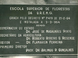 Imagem 017