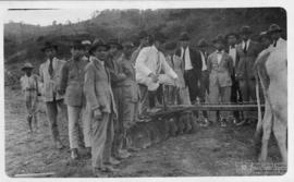 Aula prática de tração animal