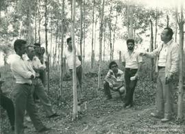 Dia de Campo sobre Reflorestamento